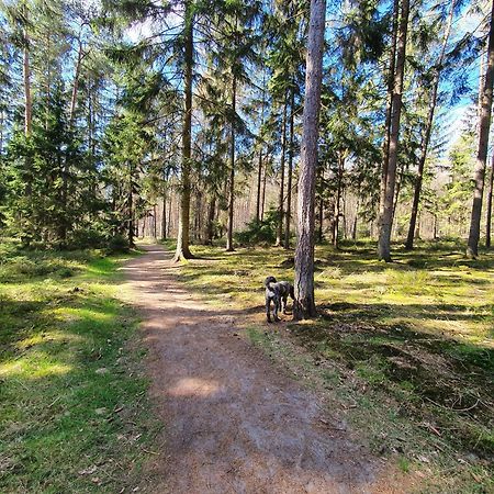 Ferienwohnung Schuberski Lipperreihe エクステリア 写真