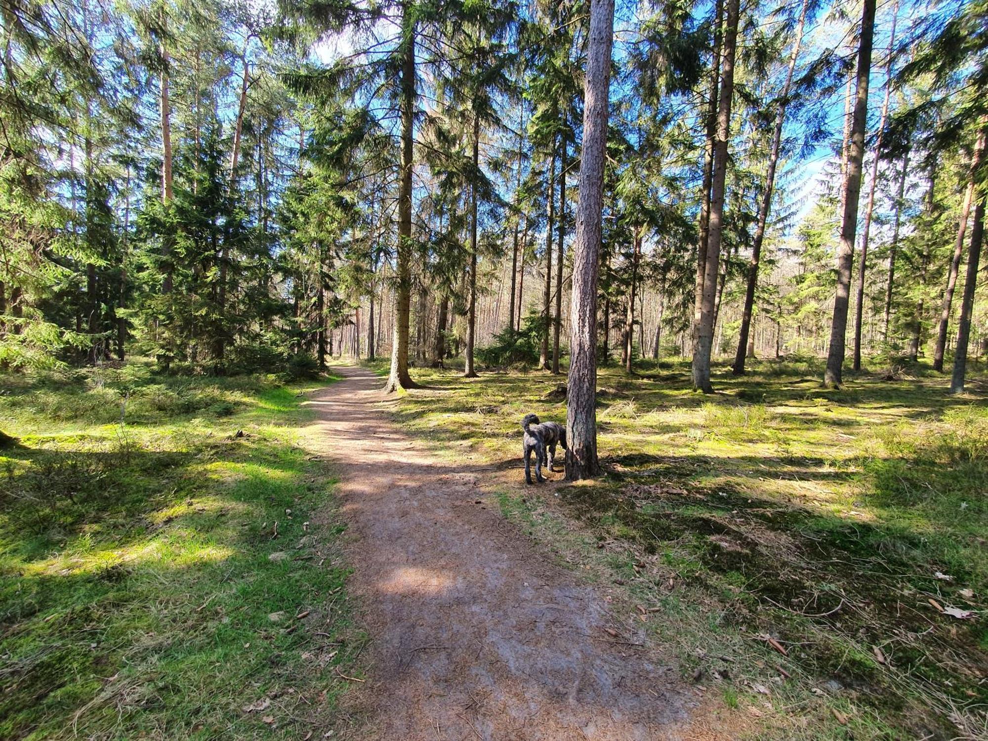Ferienwohnung Schuberski Lipperreihe エクステリア 写真